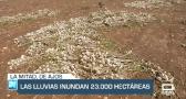 Las lluvias ya han siniestrado más de 23.000 hectáreas - 06/06/23