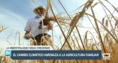 El cambio climático amenaza la agricultura familiar - 12/07/23