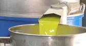 Bajan las existencias de aceite de oliva en Castilla-La Mancha - 31/08/23