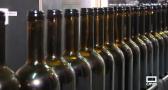 Las bodegas preparan el salto al mercado con los nuevos vinos del año - 30/10/23