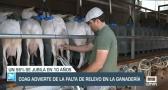 COAG advierte de la falta de relevo en la ganadería - 30/10/23