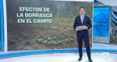 Castilla-La Mancha Fin de Semana - 04/11/2023