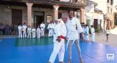Hinojosa de San Vicente: insignia olímpica de judo