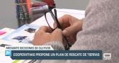 Cooperativas propone un plan de rescate de tierras - 11/12/23