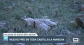 Castilla-La Mancha a las 8 - 18/12/23