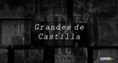 Grandes de Castilla
