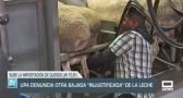 UPA denuncia otra bajada "injustificada" de la leche - 21/03/24