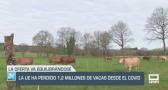 La Unión Europa ha perdido 1,2 millones de vacas desde el Covid - 24/05/24