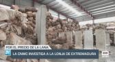 Investigada la lonja de Extremadura por el precio de la lana - 11/06/24