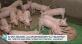 China abre una investigación "antidumping" al porcino - 17/06/24