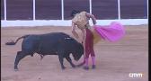 Novillada sin picadores desde Yepes (06/07/2024)