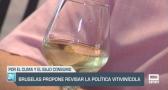 Bruselas propone revisar la política vitivinícola - 09/07/24