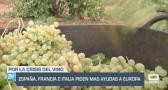 España, Francia e Italia piden más ayudas a Europa por la crisis del vino - 17/07/24