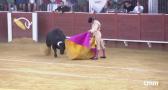 Toros desde Almadén (26/07/2024)