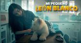 Mi pequeño león blanco