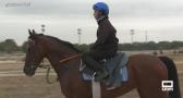 El Hipódromo de la Zarzuela nos abre sus puertas