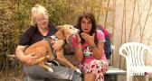 Capítulo 25: Sandy busca un hogar que entienda sus problemas