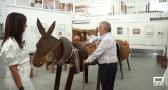 Un museo único en Herreruela de Oropesa