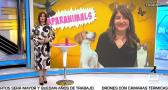 Despierta Player con Cristina Medina 31/10/2024