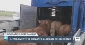 El Parlamento se adelanta al debate del bienestar animal - 13/12/24