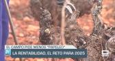 La rentabilidad, el reto para 2025 - 02/01/25