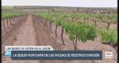 La sequía puntuará en las ayudas de reestructuración - 14/03/25