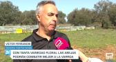 Buenas previsiones para la campaña de la miel