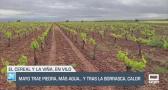 Mayo trae piedra, más agua y, tras la borrasca, calor - 02/05/25