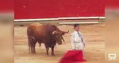 Pamplona