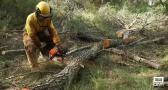Campaña de prevención de incendios