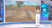 Castilla-La Mancha fin de semana a las 8 - 3/5/2025