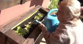 Alicia, la buena samaritana de Cendejas del Padrastro