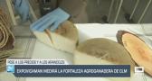 Expovicaman medirá la fortaleza agroganadera de Castilla-La Mancha - 07/05/25