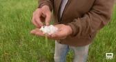 Una granizada en Casasimarro ocasiona grandes daños en el campo