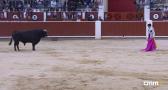 Corrida de toros desde Albacete (10/05/2025)
