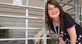 Especial Expovicaman con Amparanimals: cabras, ovejas, caballos y perros