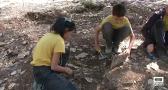 Los paleontólogos acercan un nuevo yacimiento a los más pequeños