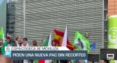 Piden a la Unión Europea que no recorte ni "desmantele" la PAC - 20/05/25