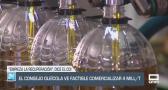 El Consejo Oleícola ve factible comercializar 4 millones de toneladas - 22/05/25