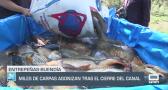 Castilla-La Mancha fin de semana a las 2 - 24/5/2025