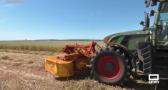 La avena marca el ritmo en el campo