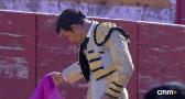 Toros desde Villamayor de Santiago (26/05/2025)