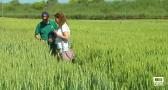 El Centro de Investigación Agraria de Marchamalo abre sus puertas a los agricultores de Guadalajara
