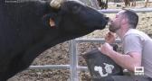 Producen leche ecológica en plena Sierra del Segura