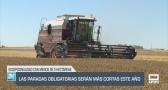Las paradas obligatorias para cosechar serán más cortas este año - 28/05/25
