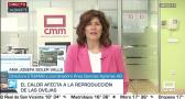 Entrevista a Ana Josefa Soler Valls