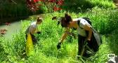 Voluntarios recogen basura en las inmediaciones del río Gallo en Molina de Aragón