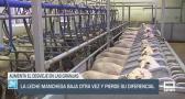 La leche manchega baja otra vez y pierde su diferencial - 03/06/25