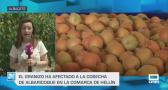 Castilla-La Mancha a las 3 - 05/06/2025