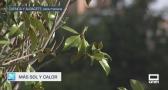 Previsión del tiempo - 05/06/2025